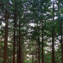 배산체육공원 이미지