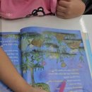 영본초등학교 이미지