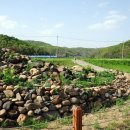 연천학곡리적석총 이미지