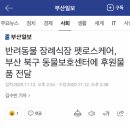 견생폼사 이미지