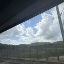 이가홍가 | 아맞다 아직 여름이야(8월 순천여행)