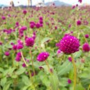 청암레포츠 이미지