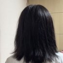 별빛헤어 - 강서구 내발산동 | 끈적임없는 헤어에센스추천 _ 별빛내린 헤어 에센스 솔직후기