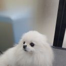 빈이샵