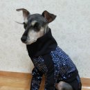 한땀한땀 이미지