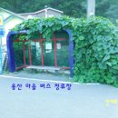 용산보건진료소 티스토리