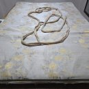 맥섬석으로 사는사람들 이미지