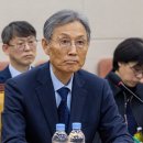 엉터리네 이미지