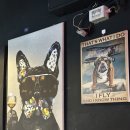 원샷포차 이미지