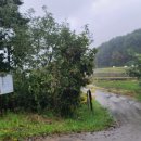 화진포둘레길(죽정리) 이미지