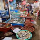 진우수산 이미지