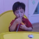 물뿜는고래 이미지