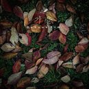 가을공인중개사사무소 이미지