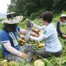 평택보건소 이미지