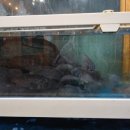 남애항 해녀횟집 이미지