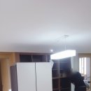 트리필름 이미지