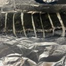 정직한김밥 - 양주시 옥정동로7다길 12-21 | 정직한김밥