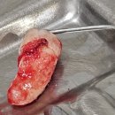 연우치과의원 이미지