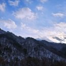 자작나무숲 주차장 이미지