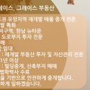 그레이스부동산중개 이미지