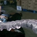 미지약국 이미지