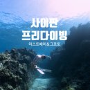 투어이스트 | 사이판 프리다이빙 히포사이판 | 이스트베이 그로토 셀프 별빛투어 후기
