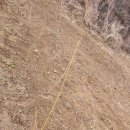 계촌농장 이미지