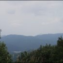 차량골농원 이미지