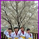 혜성태권도장 이미지