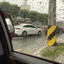 세븐일레븐 대구봉덕점 | 뭐든 오리지날이 체고시다b 대구 꿀떡 원조 평화떡공방 vs 마켓컬리 꿀떡