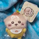 곰실천 | 베이비 치이카와 팝업 후기 더현대 서울 현장 웨이팅부터 가챠까지 현실 정리