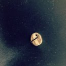 강원치과기공소 이미지