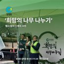 희망의 나무 이미지