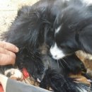 영훈 농장 이미지