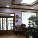 메기본가 이미지