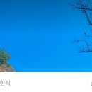 촌닭과오리 이미지