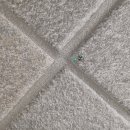 ARA행정사무소 | [세종시케라폭시시공전문업체]세종 해밀 2단지 마스터 힐스 케라폭시 110번,113번 줄눈 시공 후기