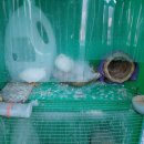 우린메드 이미지