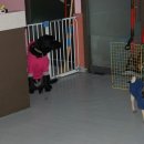 소울메이독 이미지