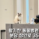활기찬동물병원 이미지