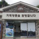 거제도 데이트 거제모노레일