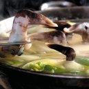 自遠方來(자원방래)