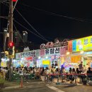 속초 _ 주말 오징어 싯가, 야장 포차 유람선야식 주말 방문 후기