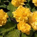 성찬농원 이미지