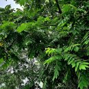 추자식품 이미지