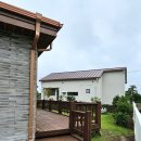 마이독스 이미지