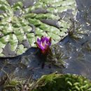 창원과학고등학교 이미지