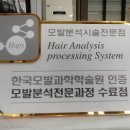 미가 헤어포인트