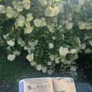 마이다스밸리 청평 골프 클럽 이미지