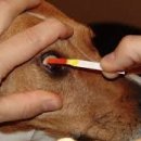 강앤정동물병원 이미지